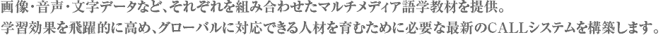 画像・音声・文字データなど、それぞれを組み合わせたマルチメディア語学教材を提供。学習効果を飛躍的に高め、グローバルに対応できる人材を育むために必要な最新のCALLシステムを構築します。